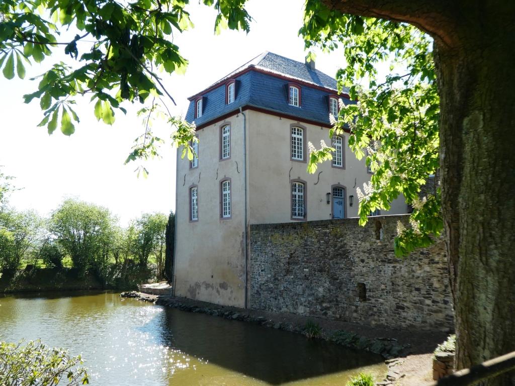 Burg Niederkastenholz - 2020